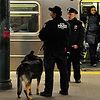 (Really Adorable) NYPD K-9 Dog Tracks Down Gunman